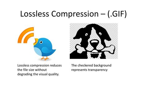 Image result for Example of Lossy Compression