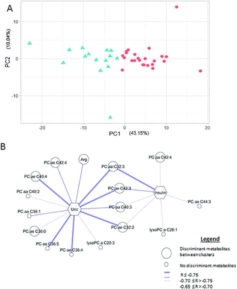 Image result for Spatial Patterns Cluster Scatter Graph