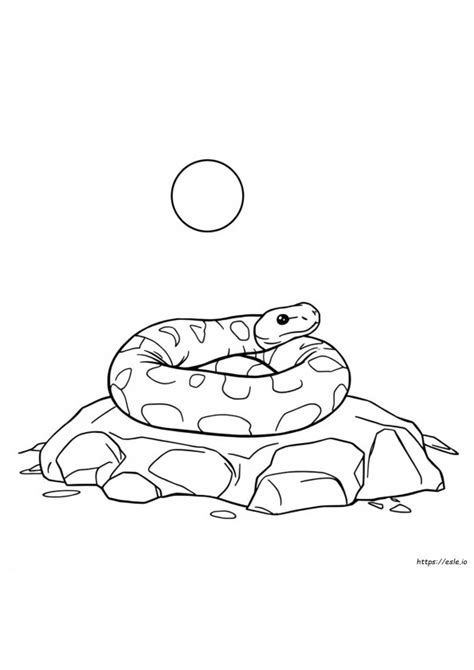 Image result for Cute Ball Python Coloring