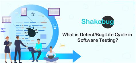 Afbeeldingsresultaten voor Bug and Defect Difference in Software Testing