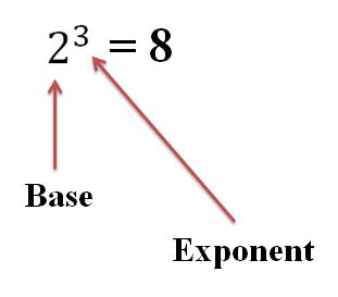 Exponent Structure に対する画像結果