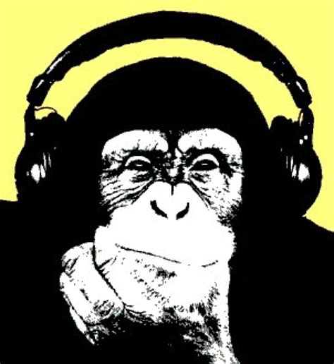 Image result for Monkey in Garage Meme Song