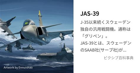 JAS 39 に対する画像結果
