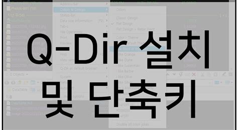 Image result for Q-Dir Windows 11