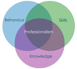 Image result for Professionalism in Engineering
