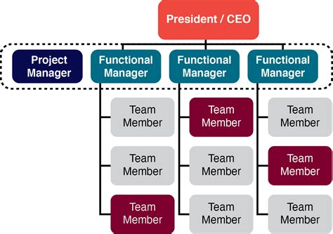 Image result for Types of Project Management Structure Matrix