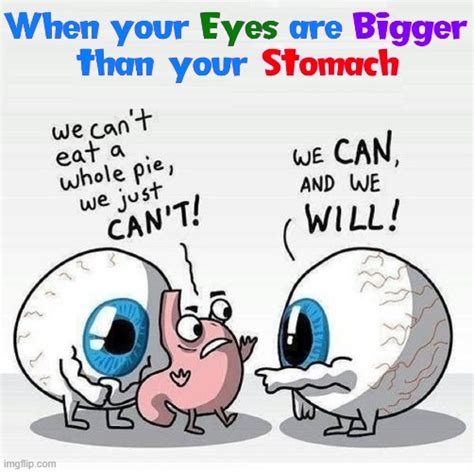 Image result for Python with a Full Stomach Meme