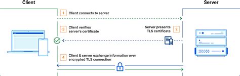 TLS Networking に対する画像結果
