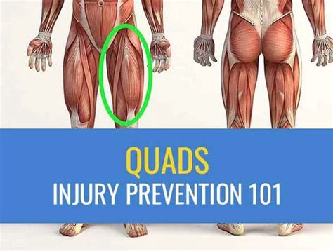 Image result for Strained Thigh Muscle