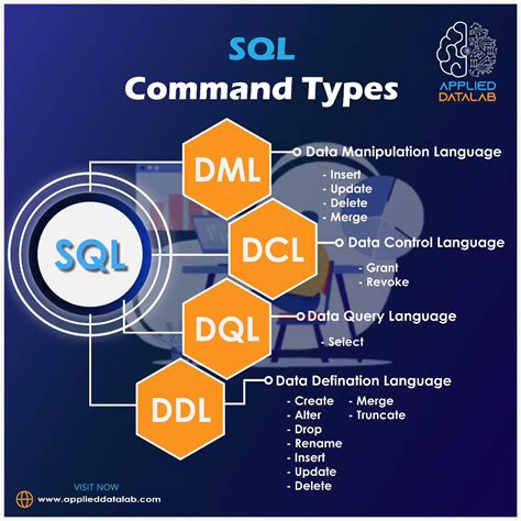 Image result for SQL DML DDL Dql