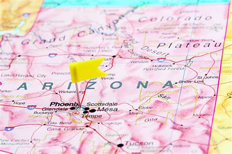 Image result for Arizona Desert Tarantula