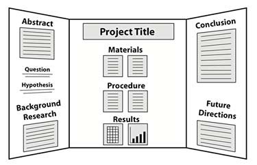 Image result for Science Fair Project Board Layout