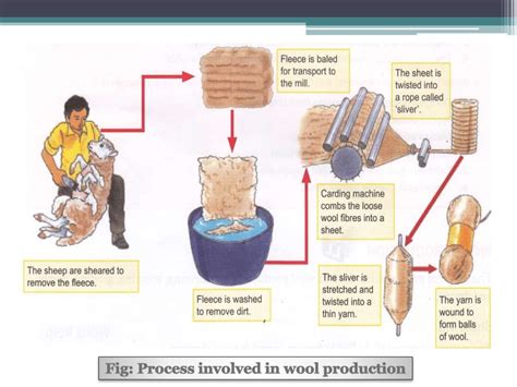 Image result for How Is Wool Processed