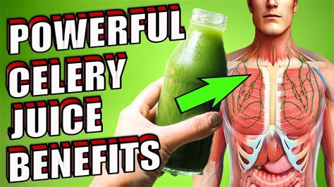 Celery Juice に対する画像結果