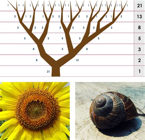 Fibonacci Tree Example に対する画像結果