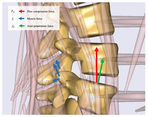 Image result for Compression Main Compression Force Hardness