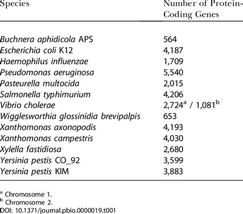 Protein Coding Genes Elements に対する画像結果