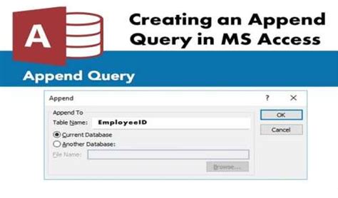 Image result for Access Database Lappend Query