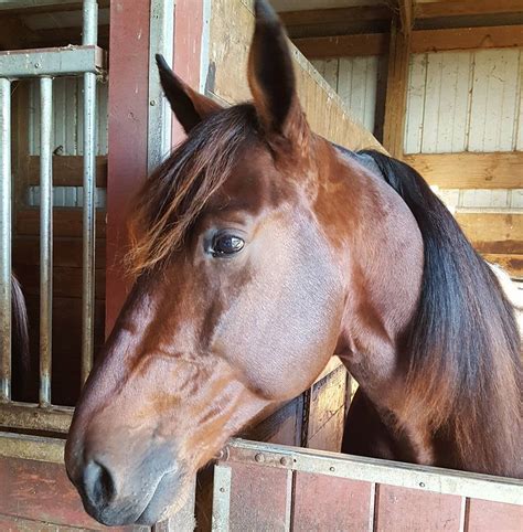 Image result for Facebook Loading Interface Image