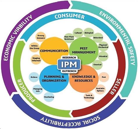Essential IPM に対する画像結果