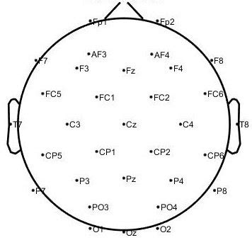 Image result for 32 Channel Utah Array Map