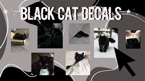 Image result for Roblox Cat Black and White
