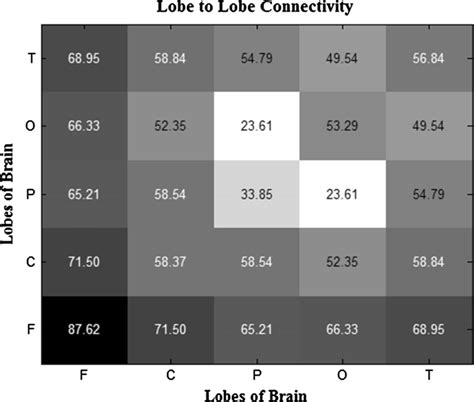 Afbeeldingsresultaten voor Feature Selection Connectivity Matrix