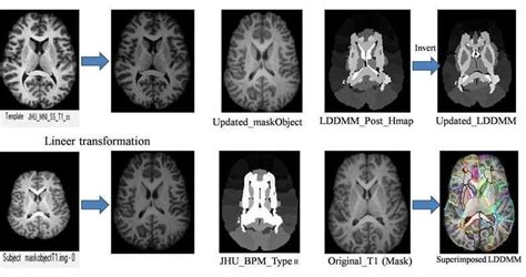 Image result for Image Normalization