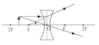 Image result for Ray Allen Form Diagram