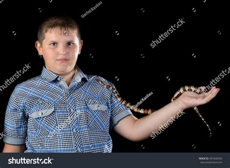Image result for Python Boy