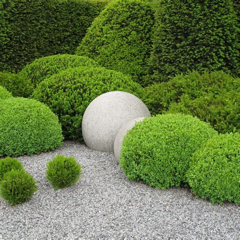 Image result for Using a String Line Level