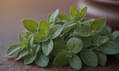 Toradh íomhá ar Random Object Photography