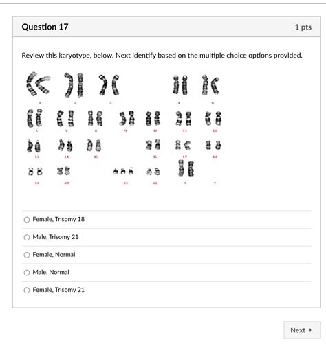 Image result for Chat Bot UI React Native