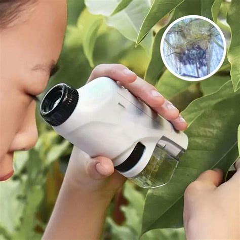 Image result for Portable Microscope