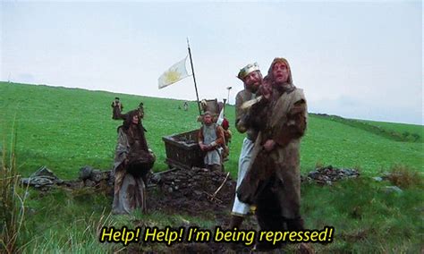 Image result for Monty Python Stupid GIF
