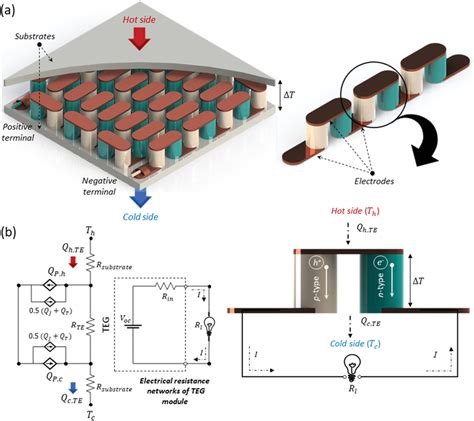 TEG Exploded-View に対する画像結果