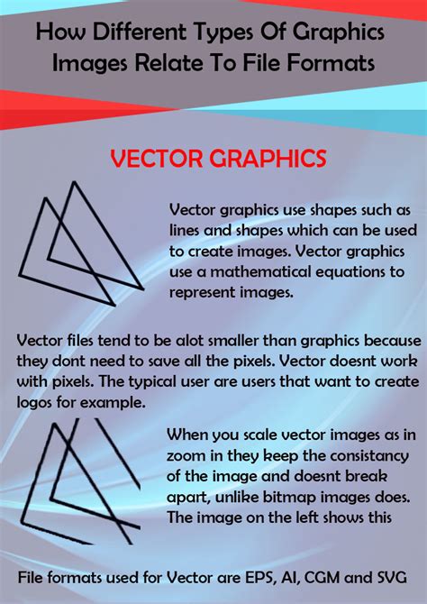 Image result for Bitmap and Vector in Digital Graphics