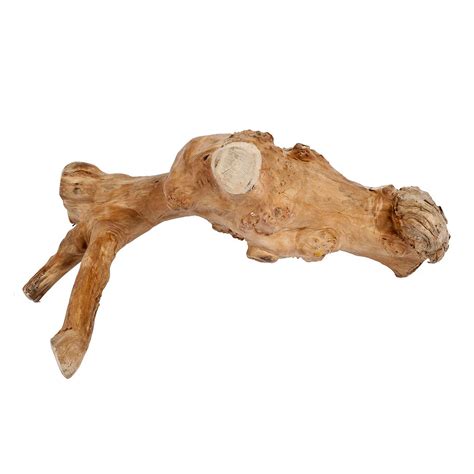 Litttle Java Pet に対する画像結果