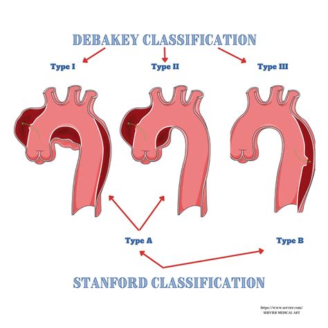 Medical Dissection に対する画像結果