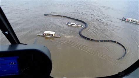 Anaconda in Amazon River ಗಾಗಿ ಇಮೇಜ್ ಫಲಿತಾಂಶ
