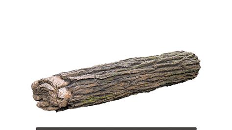 Single Tree Log に対する画像結果