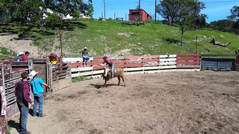 Afbeeldingsresultaten voor Bull Riding Practice