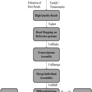 Image result for DNA Isolation to Sequencing Workflow