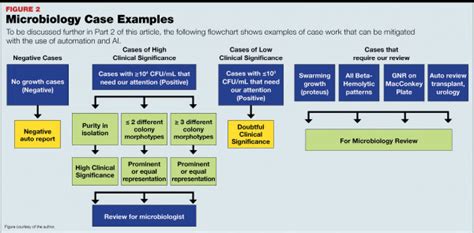 Afbeeldingsresultaten voor Microbiology Workflow