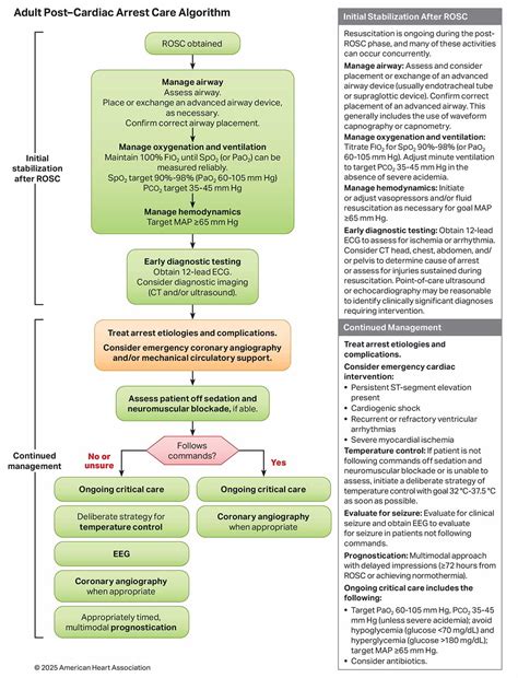 Afbeeldingsresultaten voor Post Cardiac Arrest Algorithm
