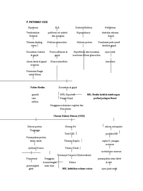 Image result for CKD Final Common Pathway
