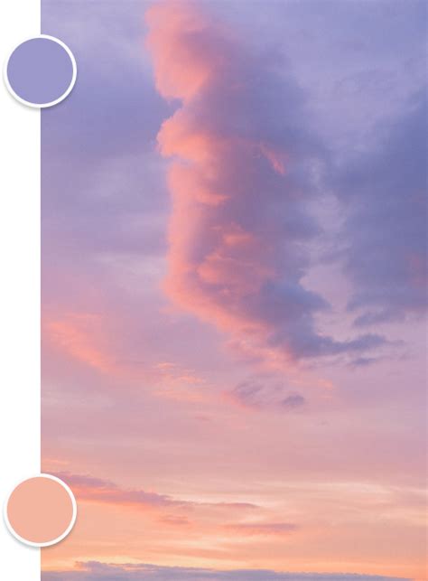 Simplified Image Color Coding Visual に対する画像結果