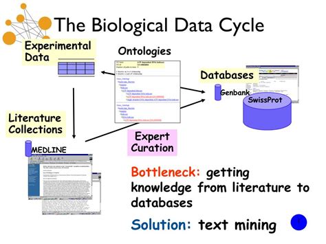 Biomedical Language Processing に対する画像結果