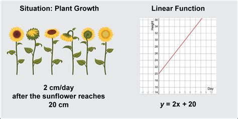Image result for Linear Function Cartoon