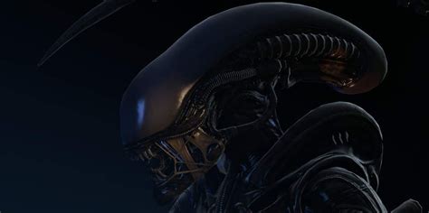 Image result for Alien Xenomorph Anatomy